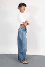 ⁦ג׳ינס 1893⁩ – תמונה ⁦2⁩